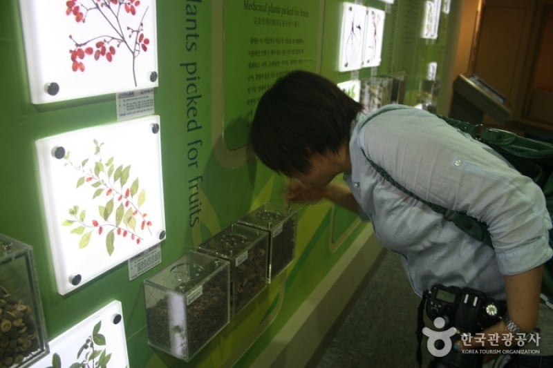 Daegu Yangnyeongsi Oriental Medicine Cultural Center  (20/22)