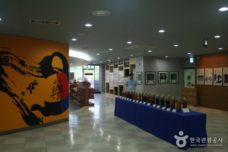 Daegu Yangnyeongsi Oriental Medicine Cultural Center  (22/22)