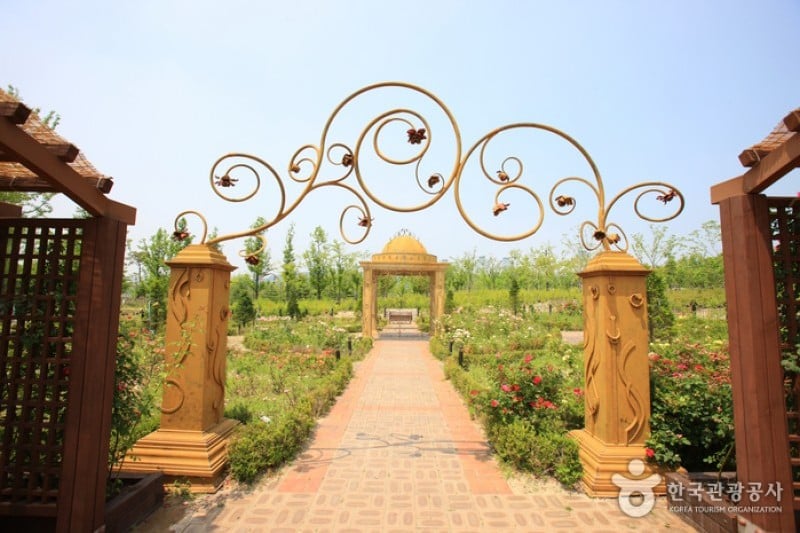 Hanbat Arboretum  (2/15)