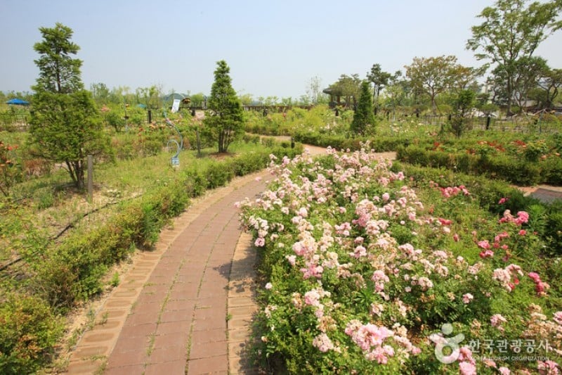 Hanbat Arboretum  (5/15)