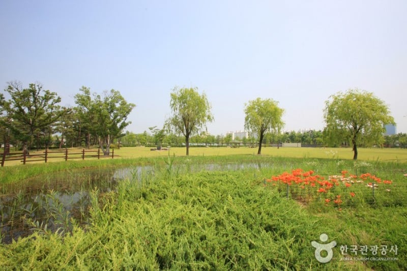 Hanbat Arboretum  (6/15)