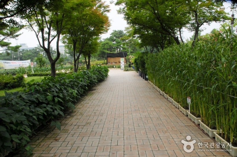 Hanbat Arboretum  (7/15)