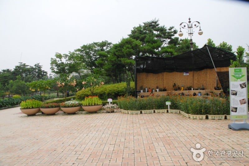 Hanbat Arboretum  (8/15)