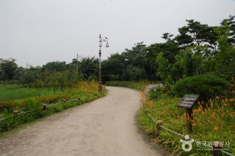 Hanbat Arboretum  (9/15)