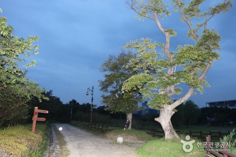 Hanbat Arboretum  (13/15)