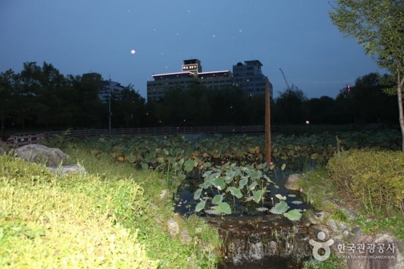 Hanbat Arboretum  (14/15)