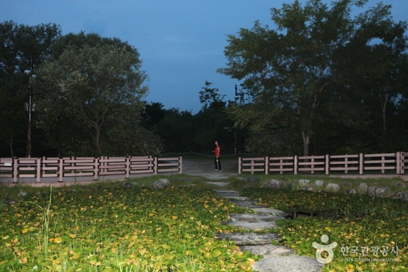 Hanbat Arboretum  (15/15)
