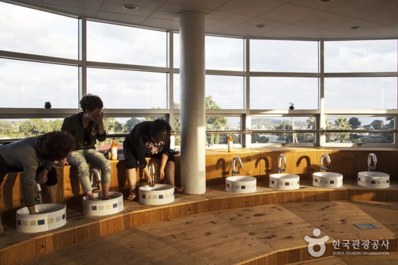 Citrus Museum  (24/26)