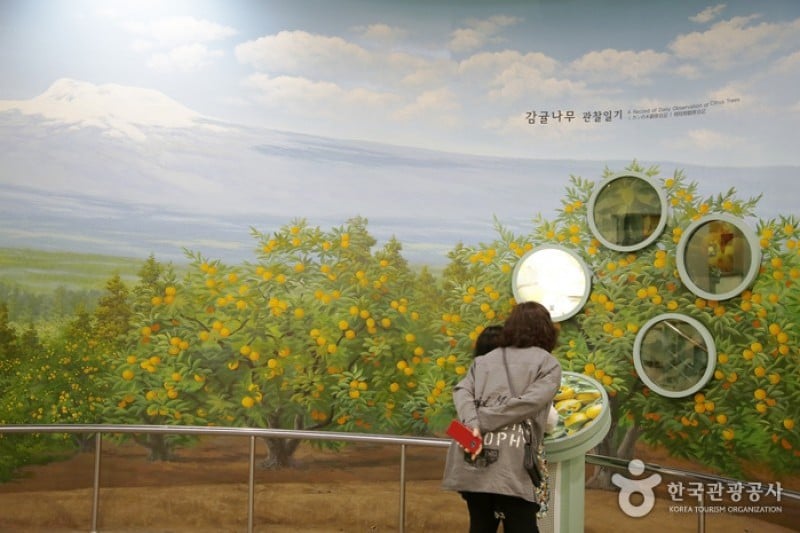 Citrus Museum  (25/26)