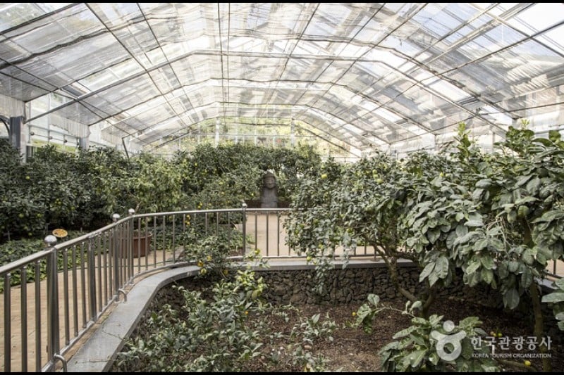 Citrus Museum  (26/26)