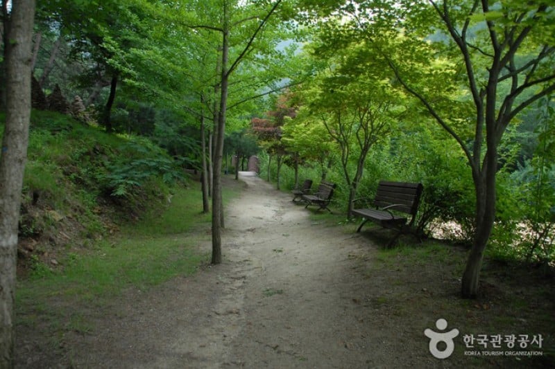 Sangso-dong Forest Park  (3/4)