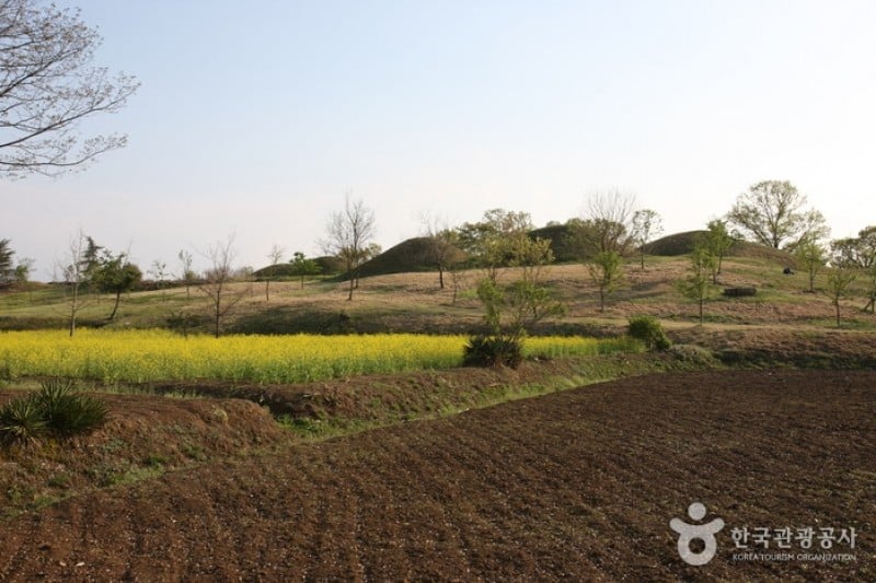 Bullo-dong Ancient Tomb Park  (1/9)