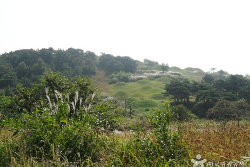 Bullo-dong Ancient Tomb Park  (9/9)
