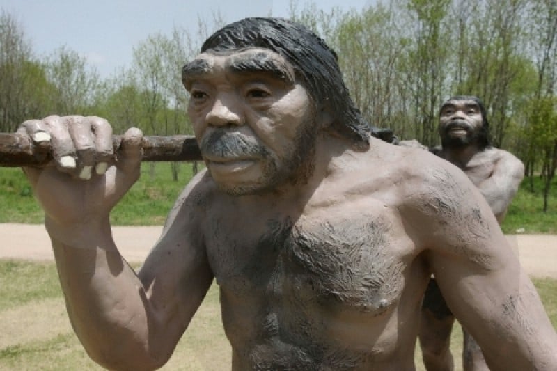 Yeoncheon Jeongok-ri Paleolithic Festival   (1/4)