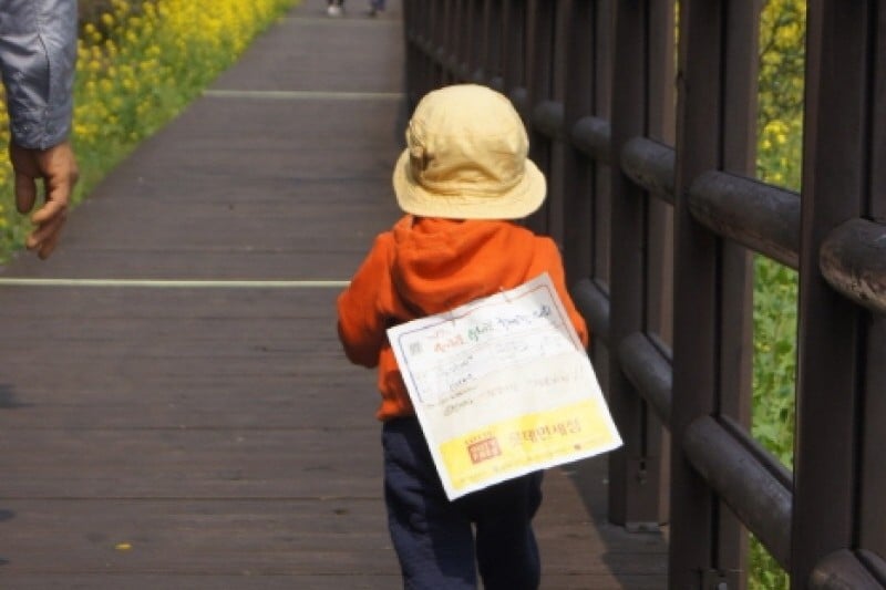 Seogwipo Rape Flower International Walking Festival  (1/2)