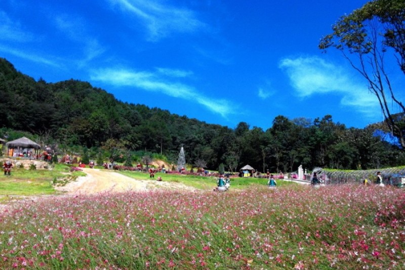Pocheon Herb Island  (14/16)