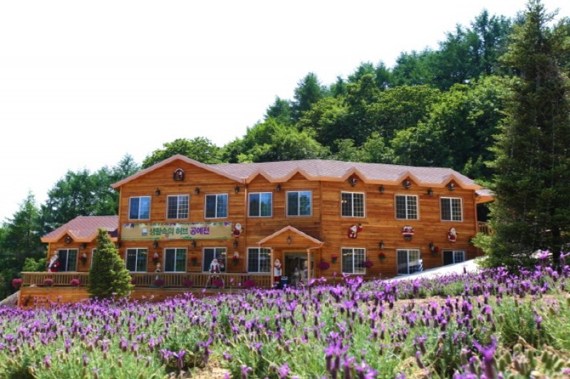 Pocheon Herb Island  (15/16)