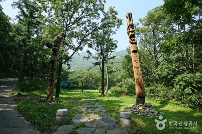 Daegu Apsan Park  (1/15)