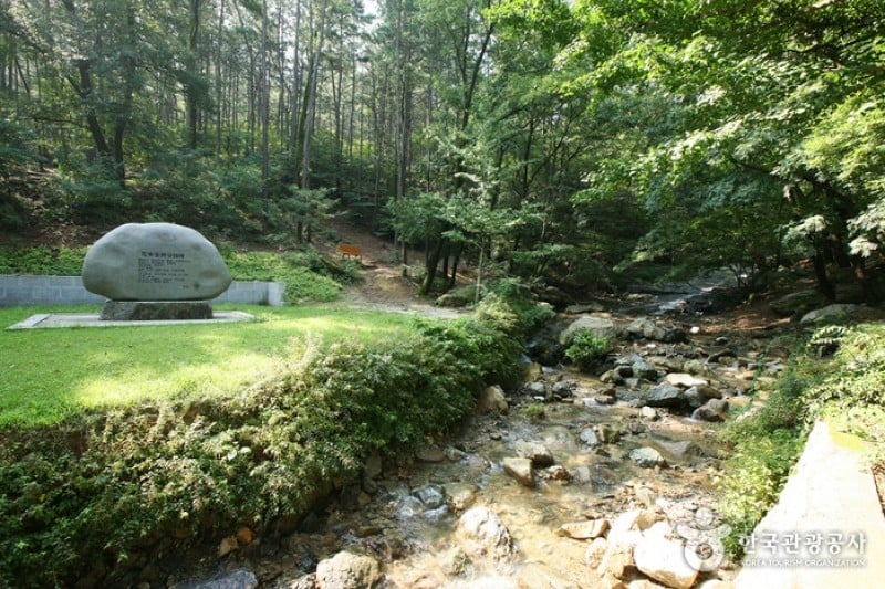 Daegu Apsan Park  (3/15)