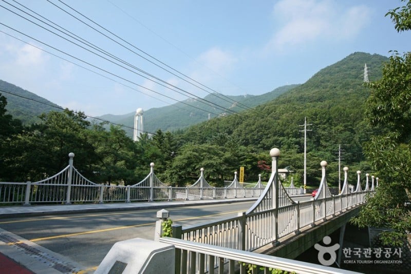 Daegu Apsan Park  (4/15)