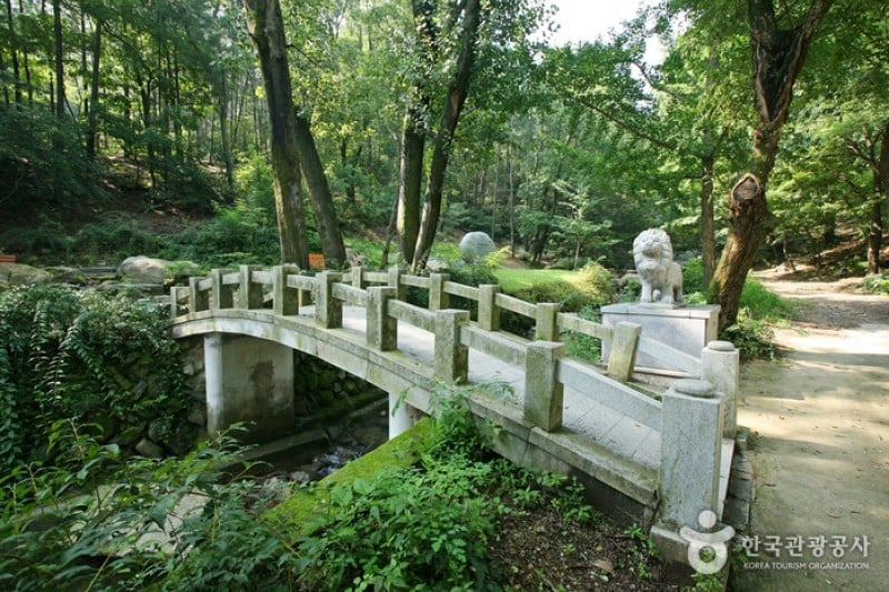 Daegu Apsan Park  (6/15)
