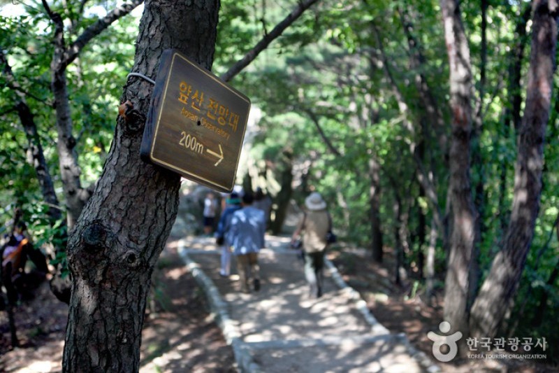 Daegu Apsan Park  (14/15)