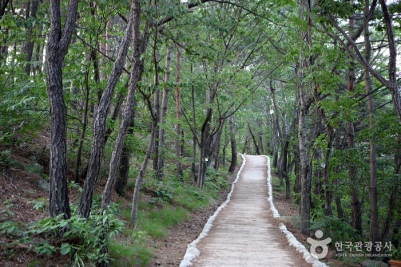 Daegu Apsan Park  (15/15)