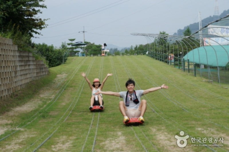 Yangpyeong Wild Flower Arboretum  (18/20)