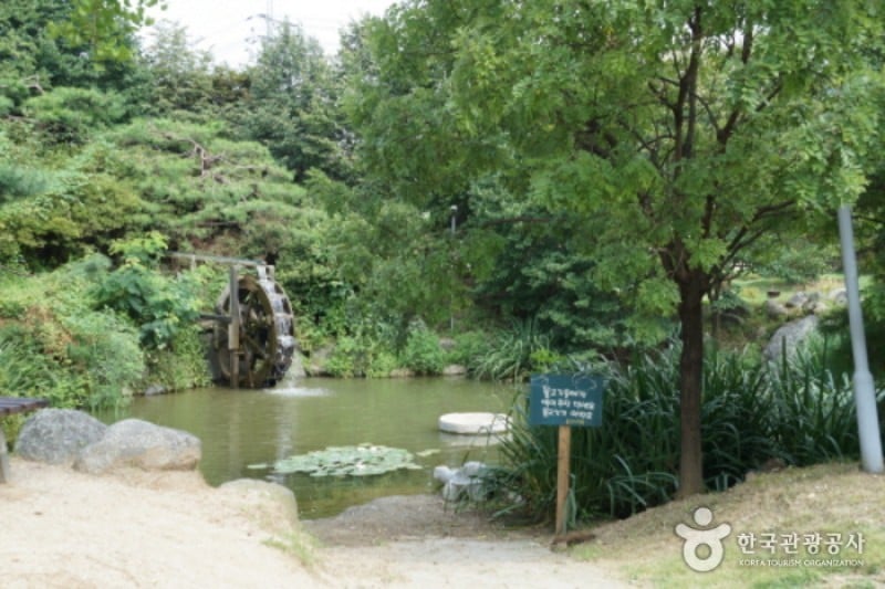 Yangpyeong Wild Flower Arboretum  (19/20)