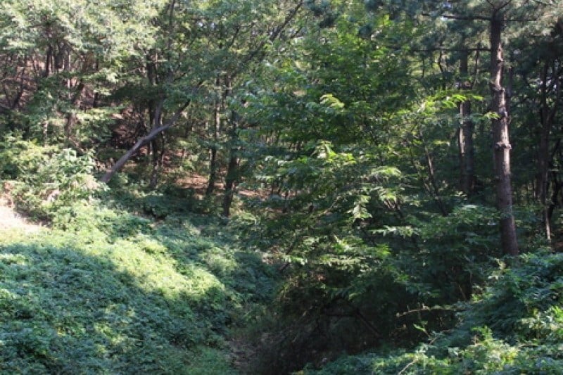 Baeksasil Valley (백사실계곡) (1/2)
