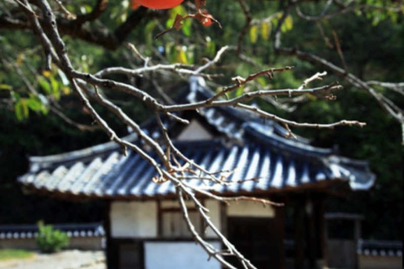 Daegu Otgol Village  (1/13)
