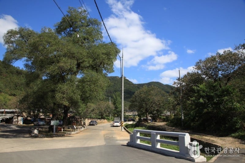 Daegu Otgol Village  (13/13)
