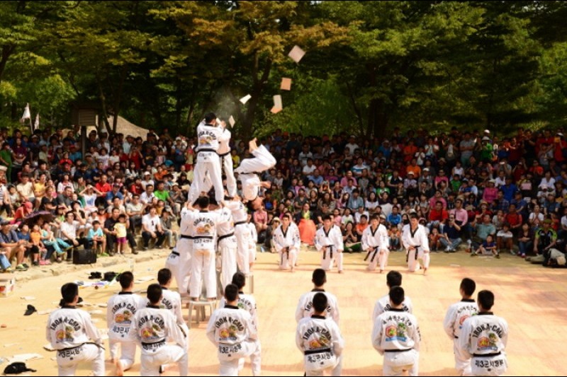 Korean Folk Village Hangawi Festival  (12/12)