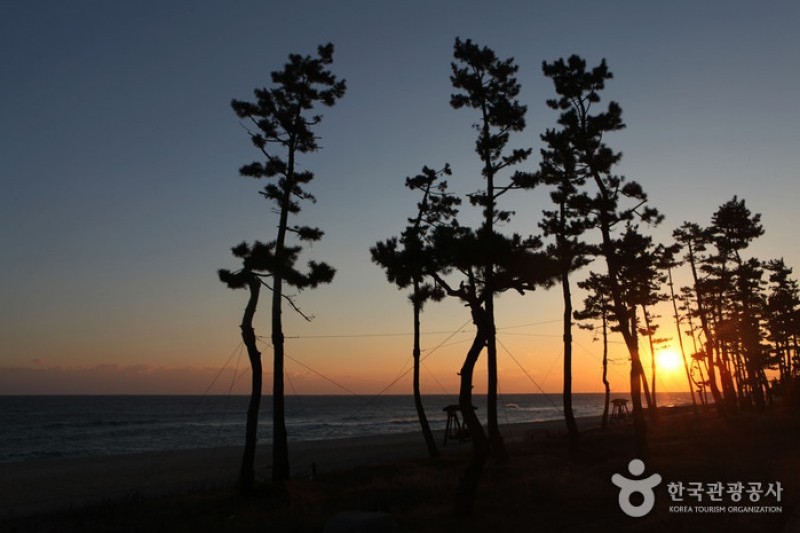 Gangneung Gyeongpo Beach  (12/13)