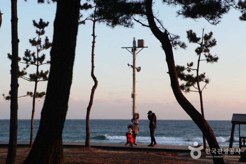 Gangneung Gyeongpo Beach  (13/13)