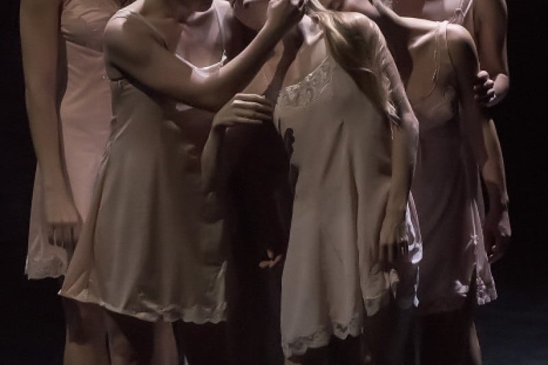Seoul International Dance Festival  (6/6)