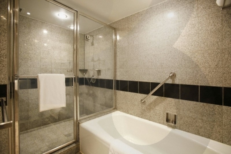 Grand InterContinental Seoul Parnas  (8/26)