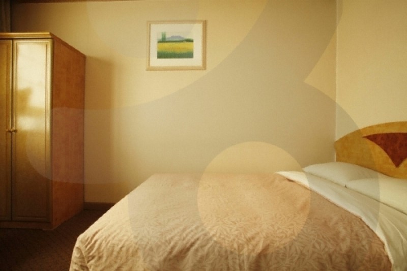 Hotel Dynasty  (3/13)