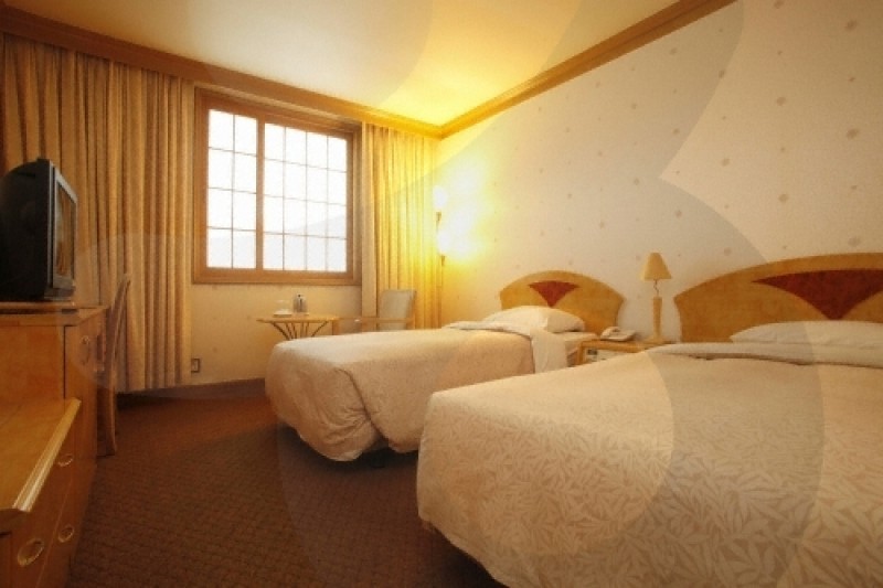 Hotel Dynasty  (7/13)