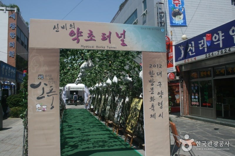 Daegu Yangnyeongsi Herb Medicine Culture Festival  (2/21)