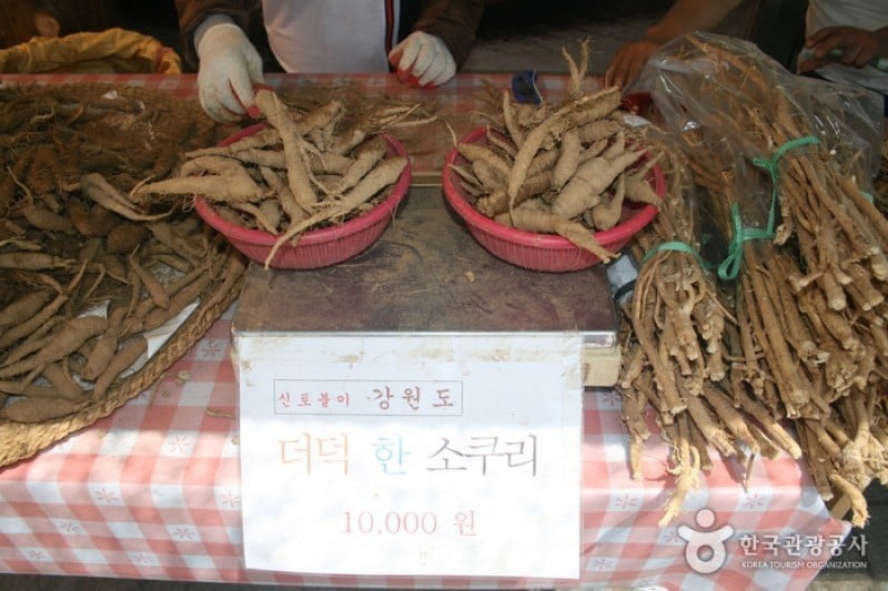 Daegu Yangnyeongsi Herb Medicine Culture Festival  (6/21)