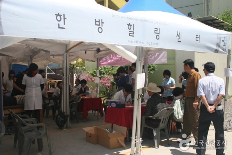 Daegu Yangnyeongsi Herb Medicine Culture Festival  (17/21)