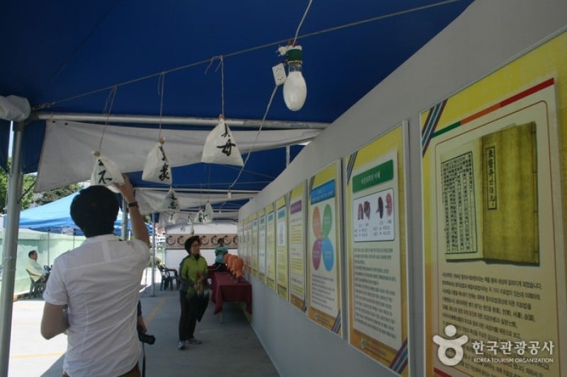 Daegu Yangnyeongsi Herb Medicine Culture Festival  (18/21)