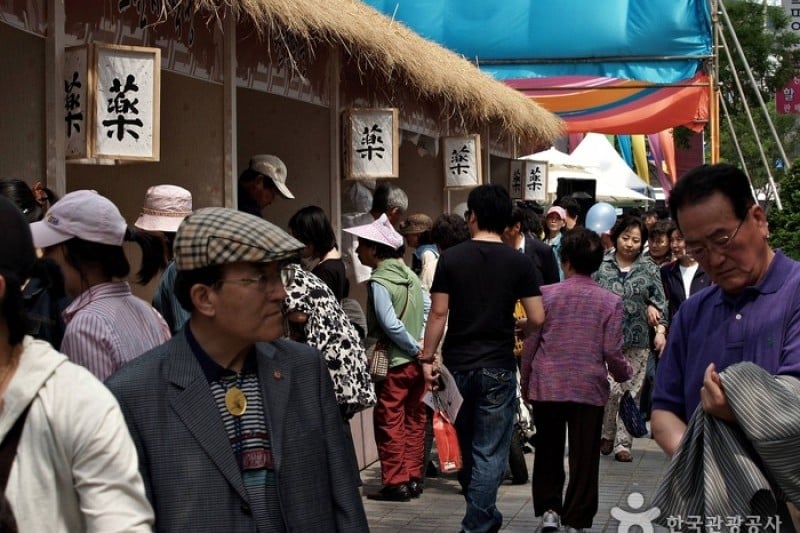 Daegu Yangnyeongsi Herb Medicine Culture Festival  (21/21)