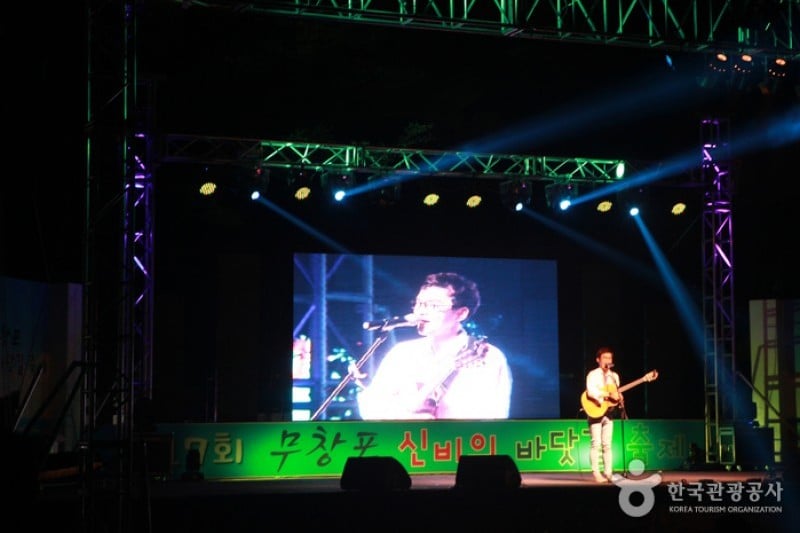 Muchangpo Mystic Sea Road Festival  (1/8)