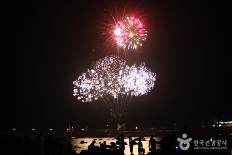 Muchangpo Mystic Sea Road Festival  (5/8)