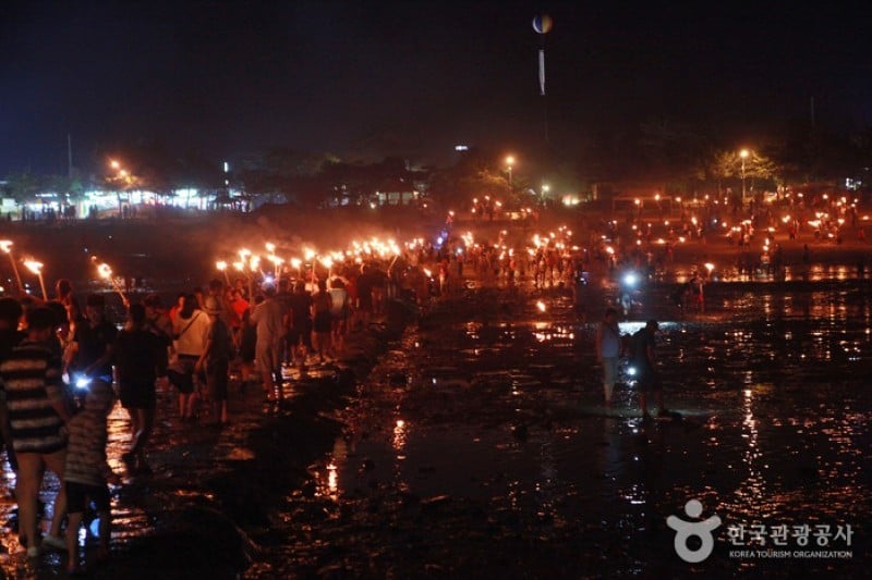 Muchangpo Mystic Sea Road Festival  (6/8)