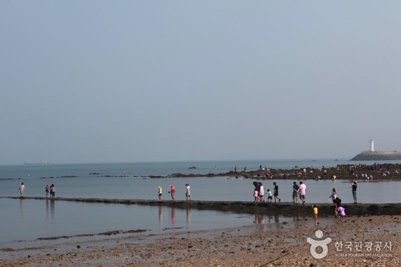 Muchangpo Mystic Sea Road Festival  (7/8)