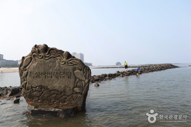 Muchangpo Mystic Sea Road Festival  (8/8)