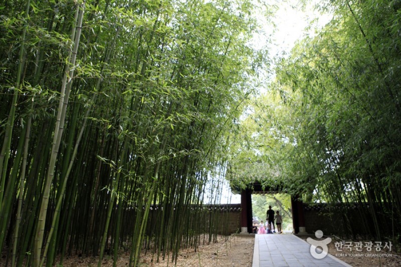 Gyeonggijeon Shrine  (24/25)